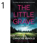 The Little Grave by Carolyn Arnold, a dark stormy sky over a clearing in the woods with a dirt two rut laneway